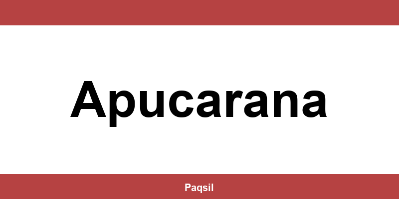 Total Express em Apucarana - Telefone para contato