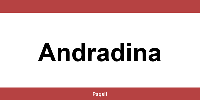 Total Express em Andradina - Telefone para contato