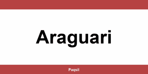 Total Express em Araguari - Telefone para contato