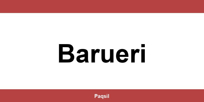 Total Express em Barueri - Telefone para contato