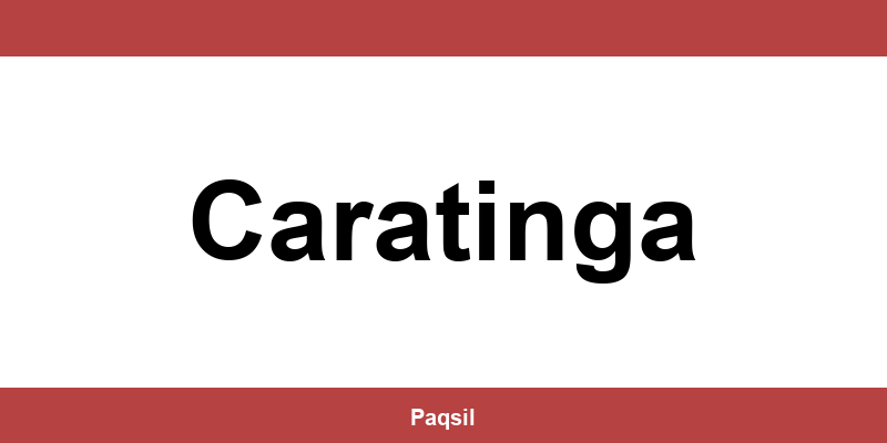 Total Express em Caratinga - Telefone para contato