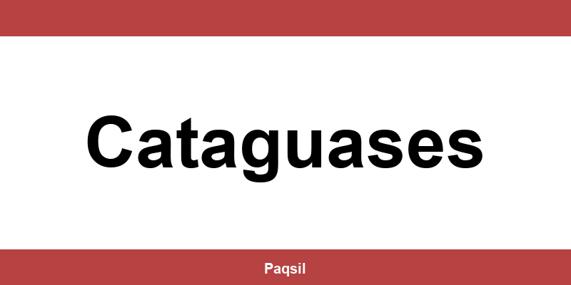 Total Express em Cataguases - Telefone para contato