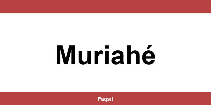 Total Express em Muriahé - Telefone para contato
